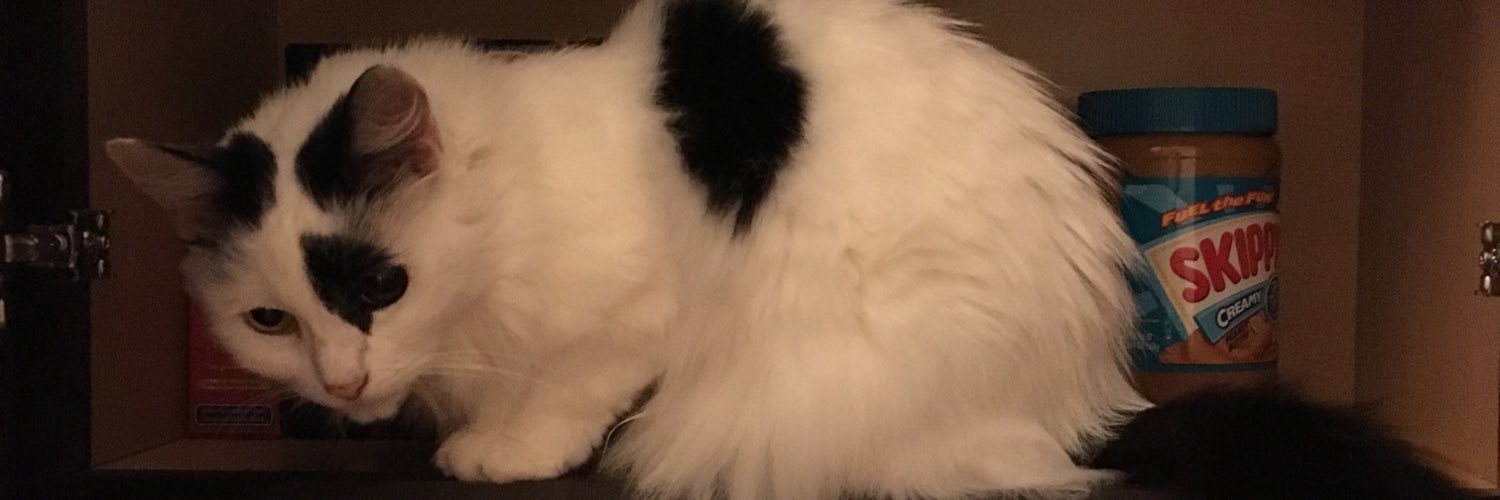 mattslusser's profile banner image