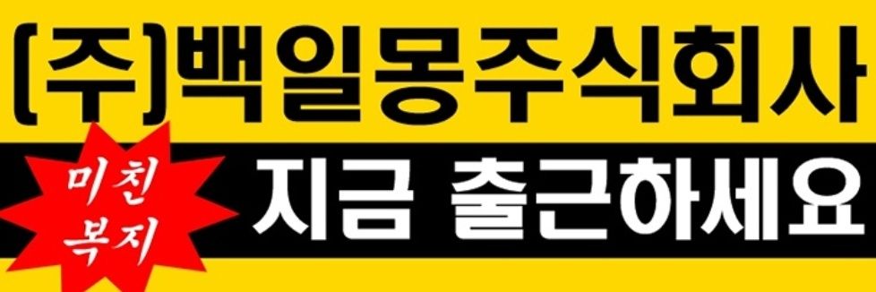백일몽 근로복지팀 🍭 banner