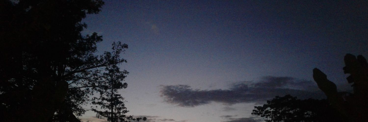 iiena208's profile banner image