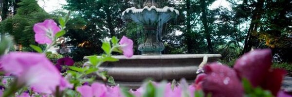 Pines_Manor Profile Banner