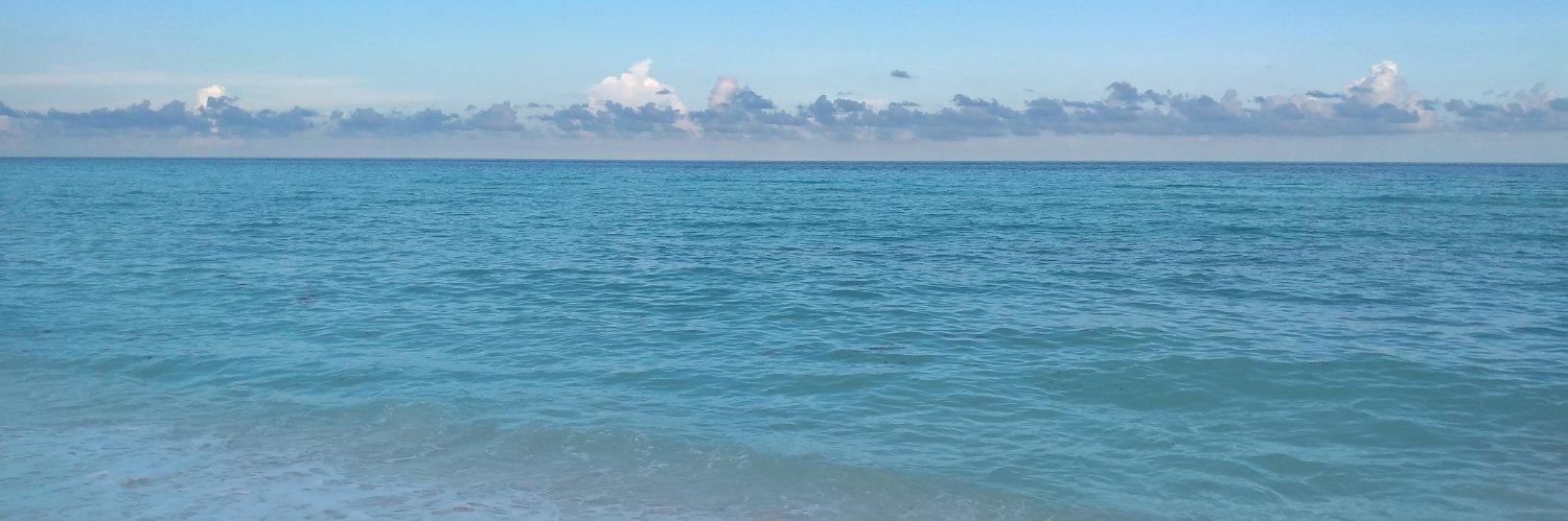 alegodi26's profile banner image