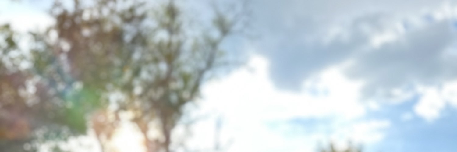 Neey_Neey's profile banner image