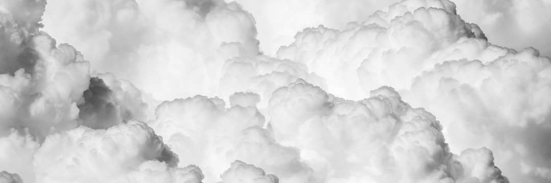 roo_thepanda's profile banner image