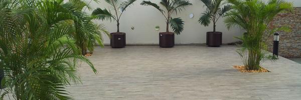 bamkybaba Profile Banner