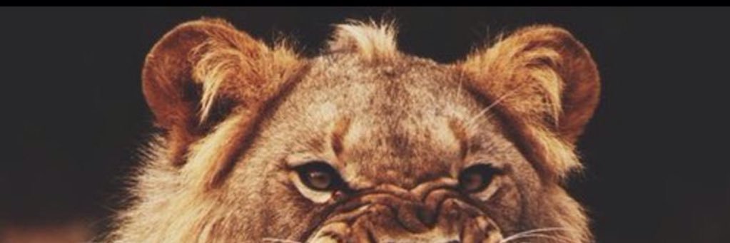 lowkey9_5's profile banner image