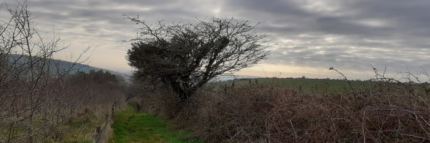 JohnLinehan12's profile banner image