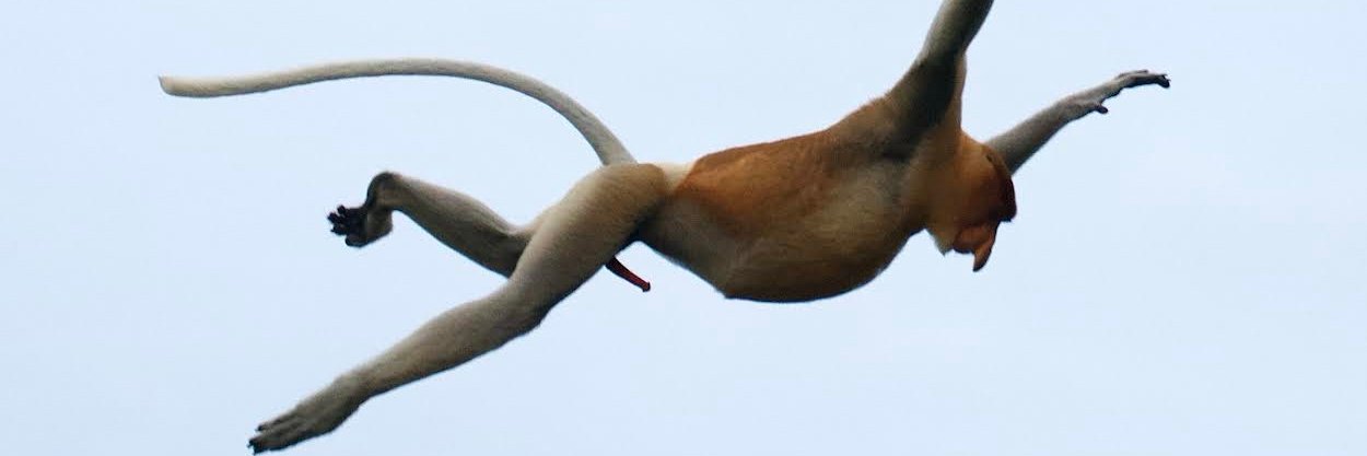 首席国医大师 ＢＵＧＳＬＡＶＥ 博导主任医师针灸宗师 banner