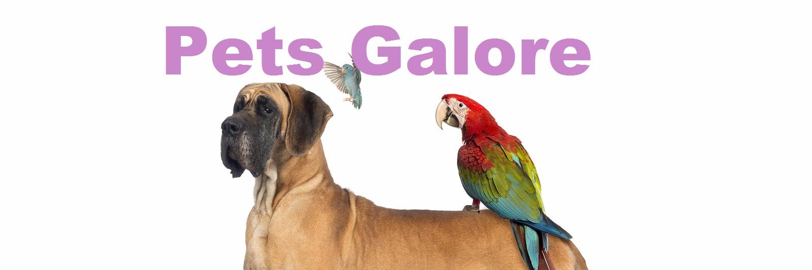 PetsSales's profile banner image