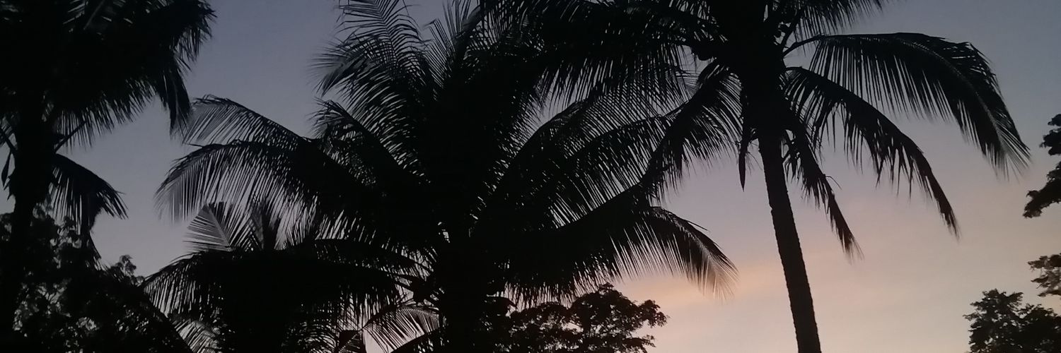 jouynnn's profile banner image