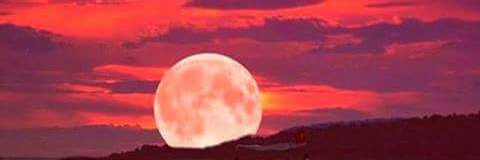 xrustyke's profile banner image