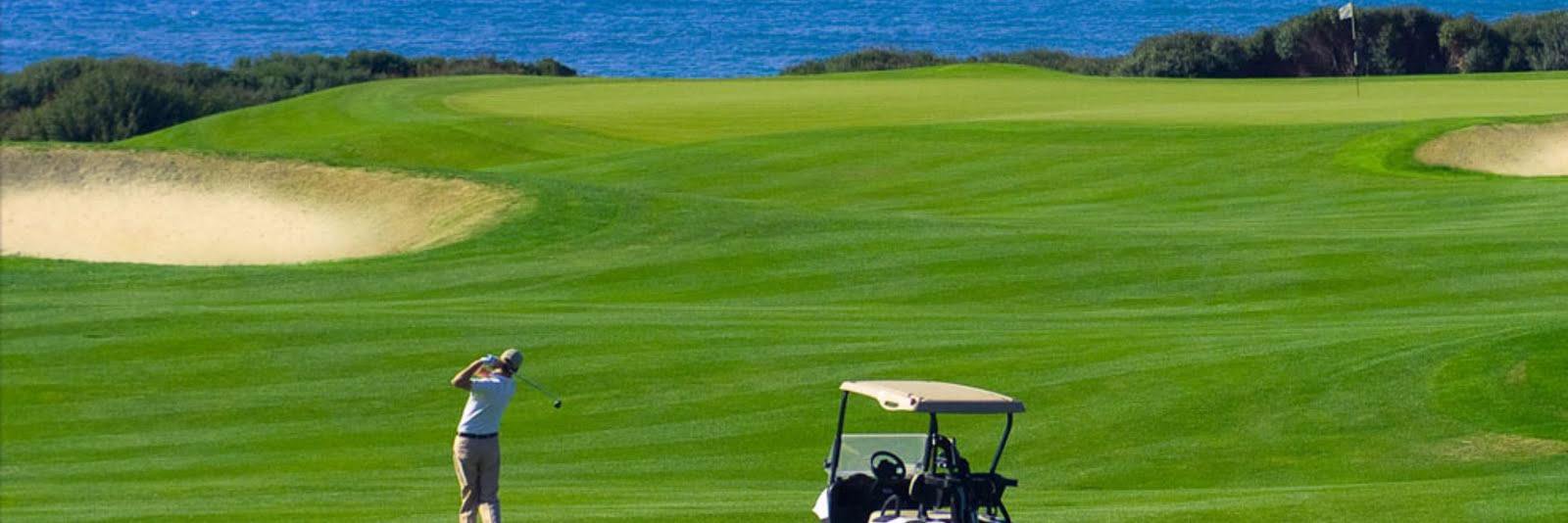 golf2016m1's profile banner image