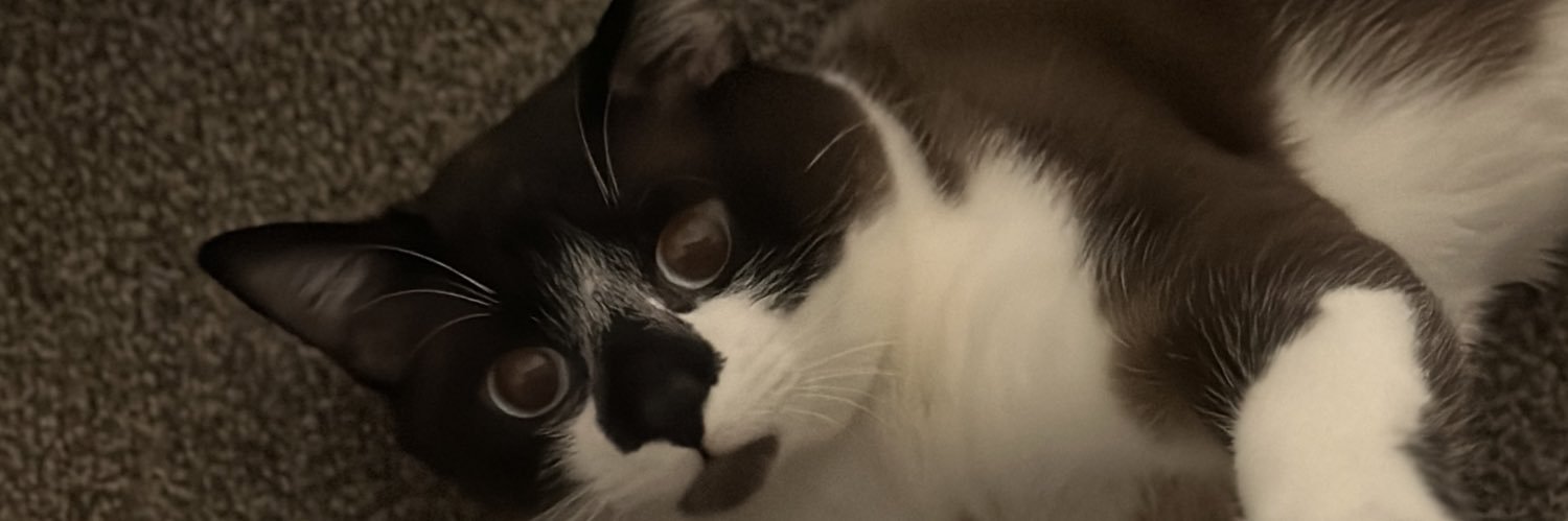 Thalia_402's profile banner image
