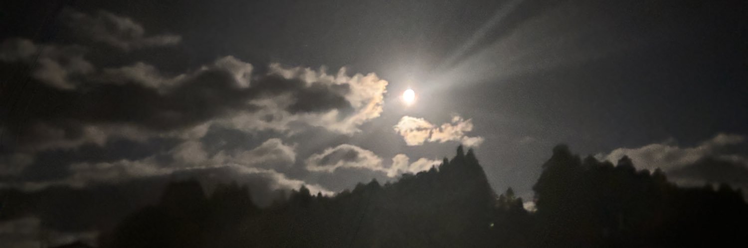 ぷんぷんくまぶ banner