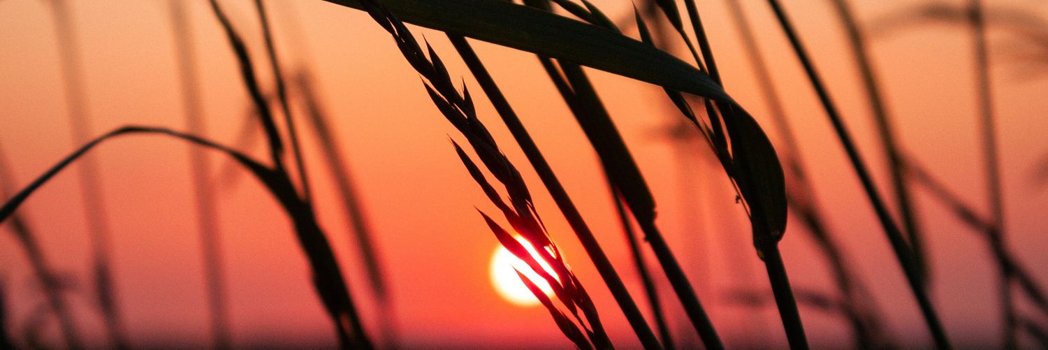 remi_nol's profile banner image