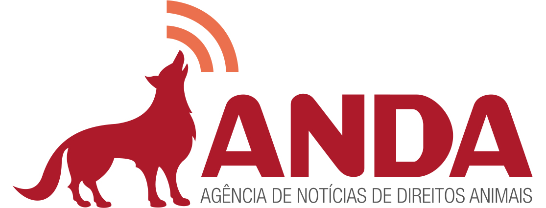 ANDA NEWS banner