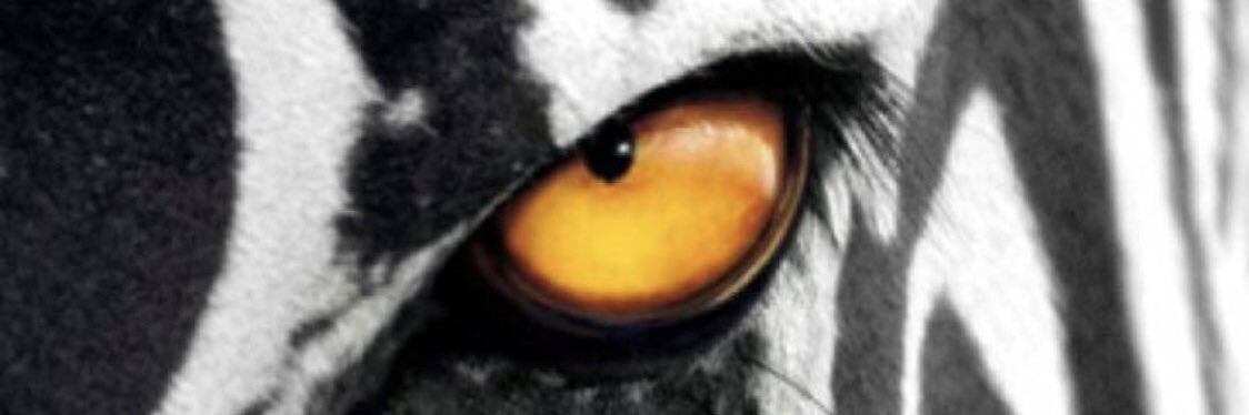 RobLeon4's profile banner image