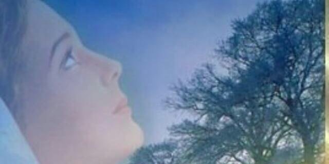maryffebraham's profile banner image