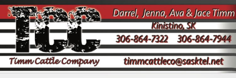 TimmCattle's profile banner image