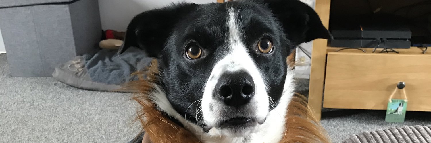 Stu’s Doppleganger banner