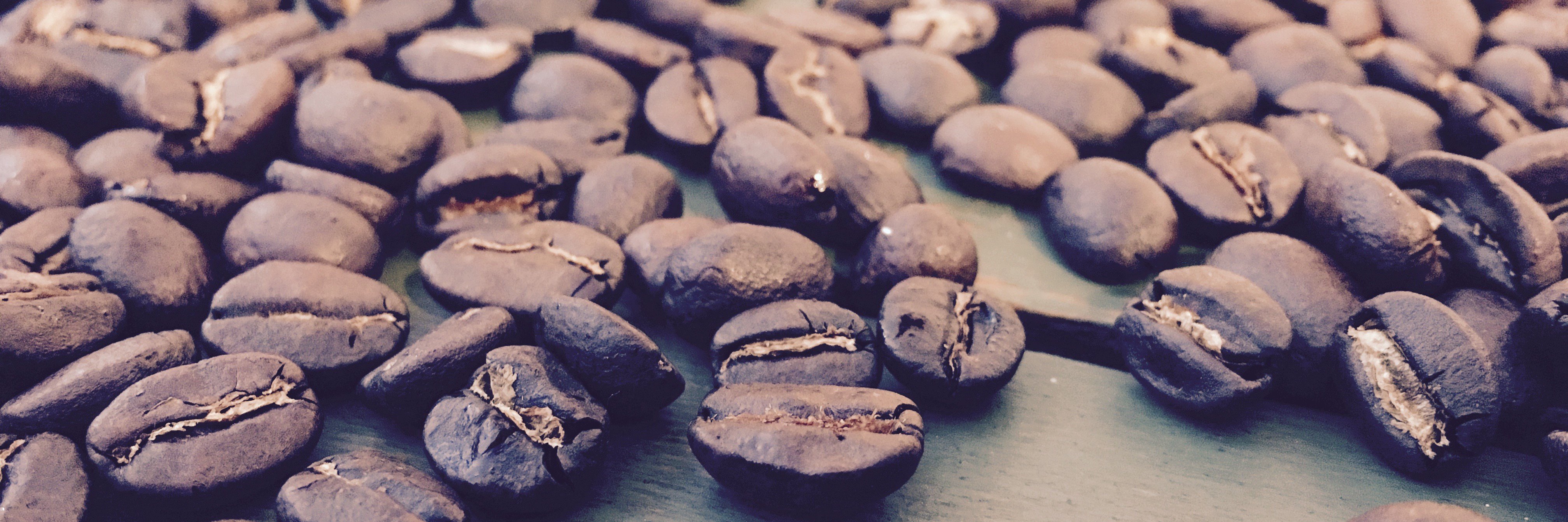 AlleyCat_Coffee's profile banner image