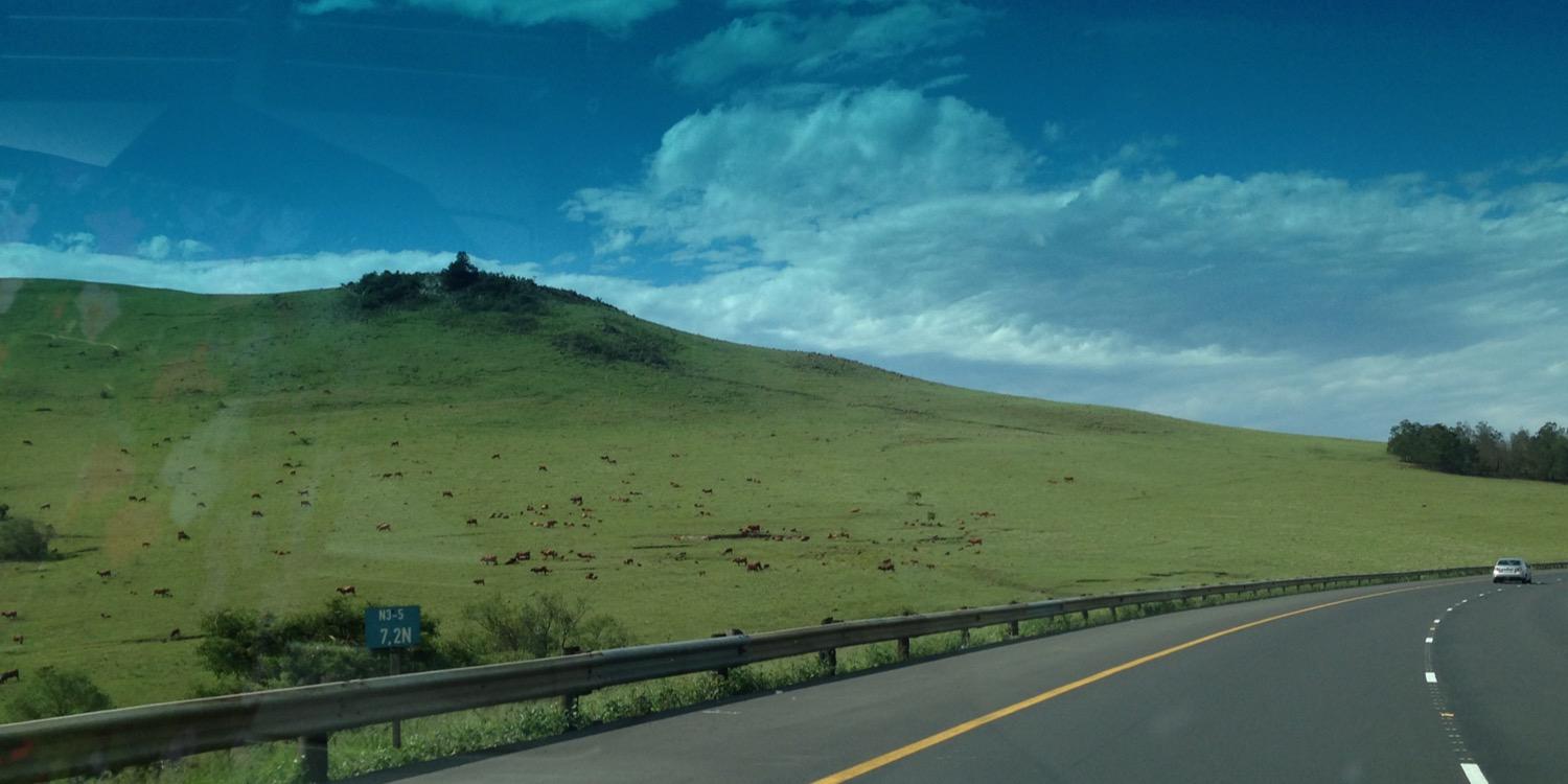 AlexRazos's profile banner image