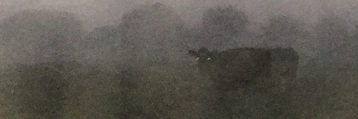 John Dennison banner