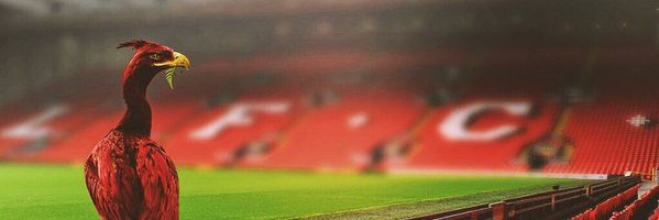 cctlfc's profile banner image