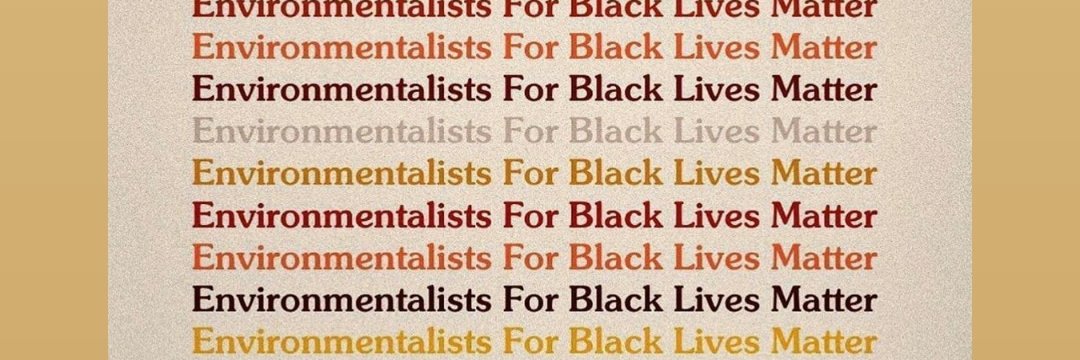 kimmchee23's profile banner image