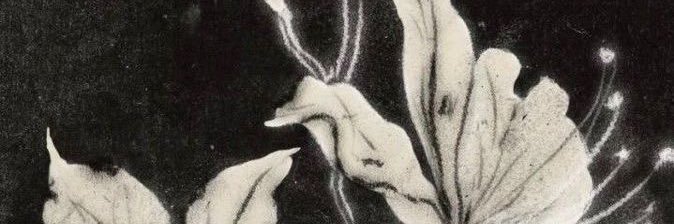 vvadii's profile banner image