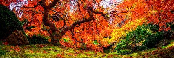 Bezelfor Profile Banner