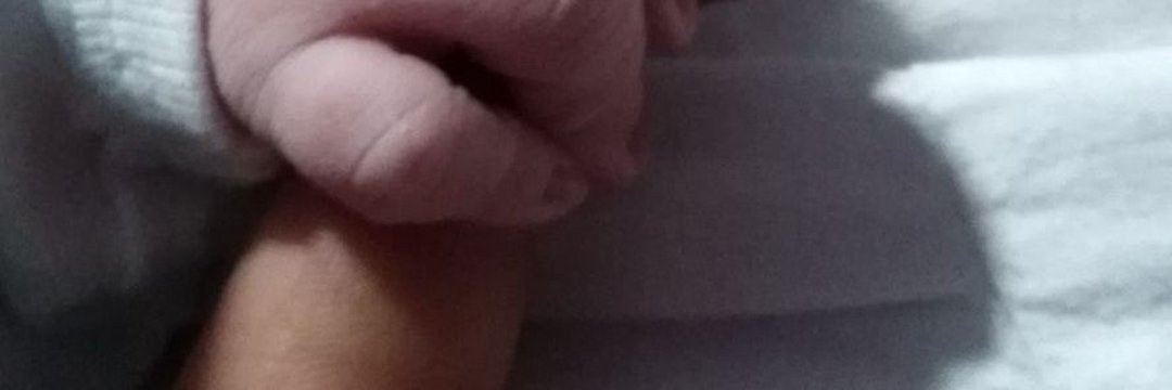 fortu banner