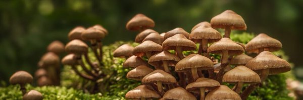 eaxford Profile Banner