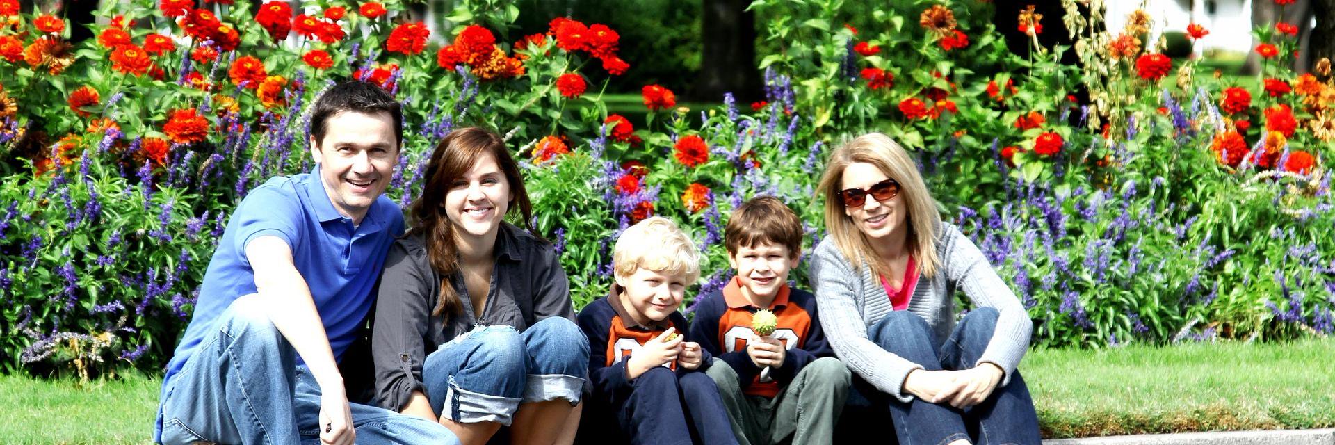 FEI_Ireland's profile banner image