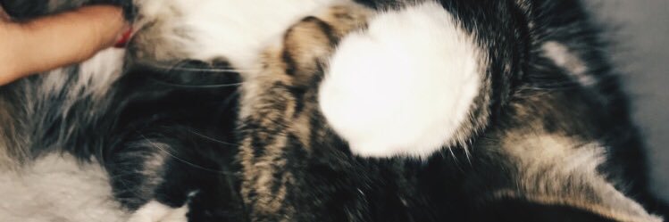 fbengtsson15's profile banner image