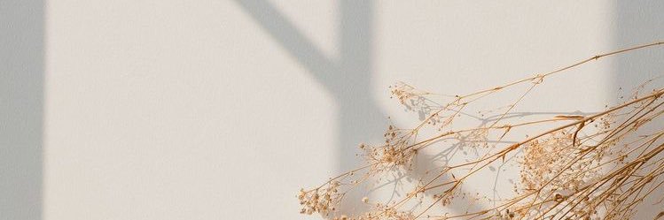 ShaeLisaJackson's profile banner image