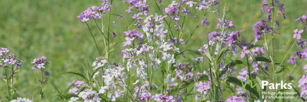 MiParksRec Profile Banner