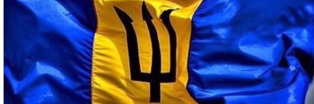 Barry G banner