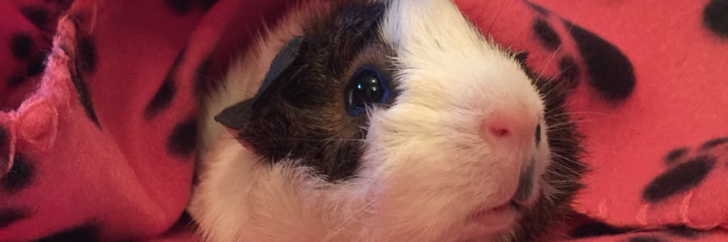 waybeyondjacob's profile banner image