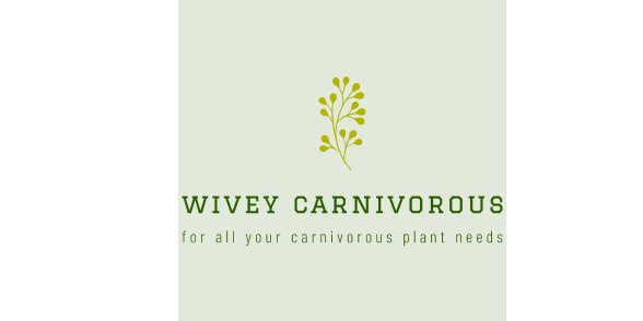 wiveycarn's profile banner image