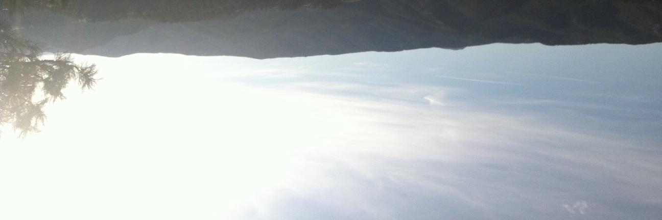 elyssarogers's profile banner image