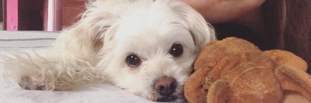 Tati_Ferrerr's profile banner image
