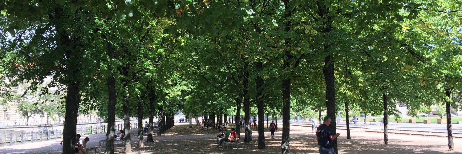 Duncan Ferguson banner