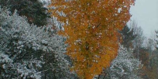 Thomas P. Oppel banner