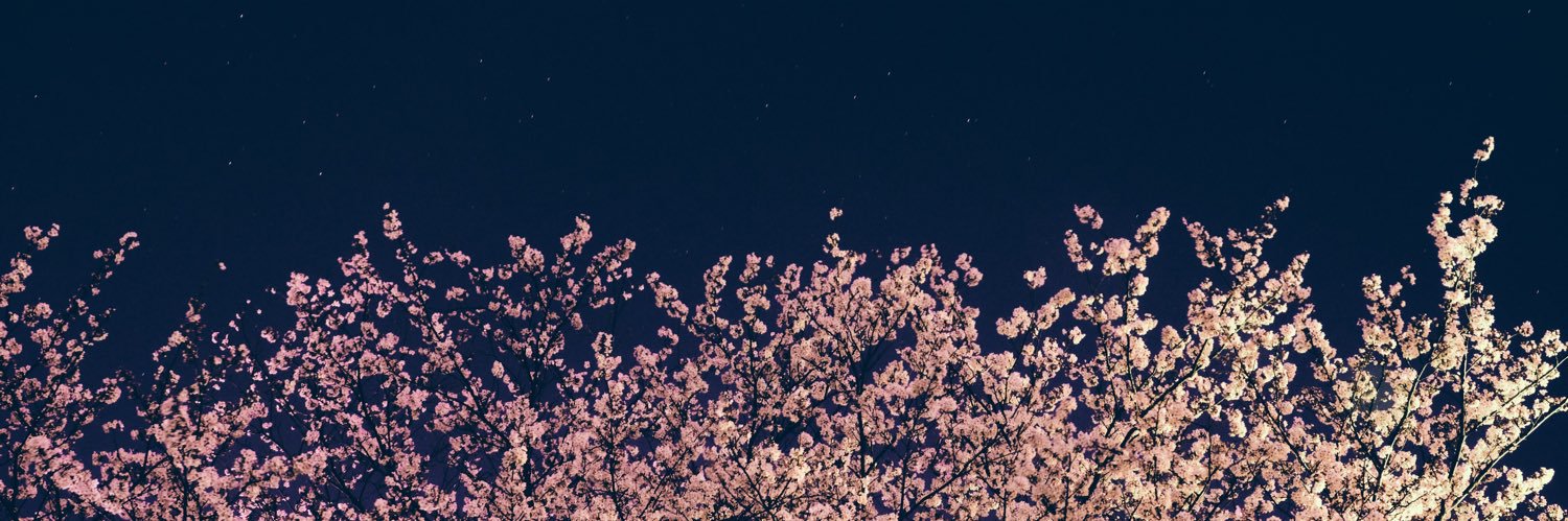 soesyu's profile banner image