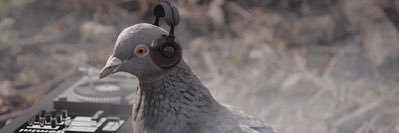 Clement_Mignon's profile banner image
