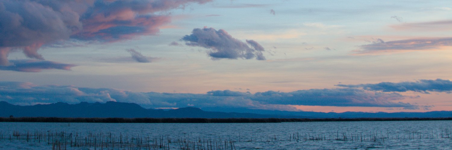 Manuelgenoves's profile banner image