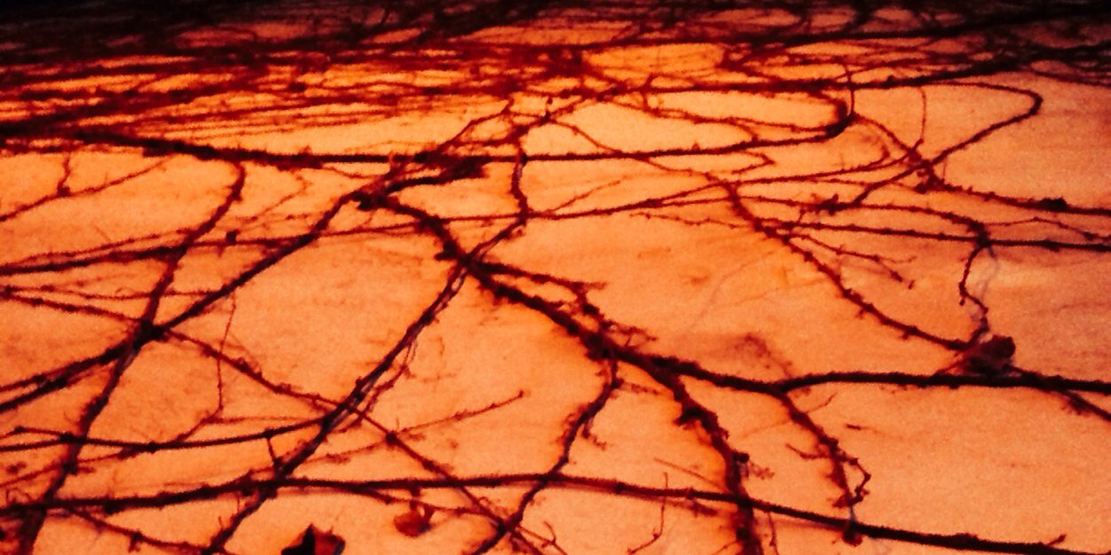 emooky's profile banner image