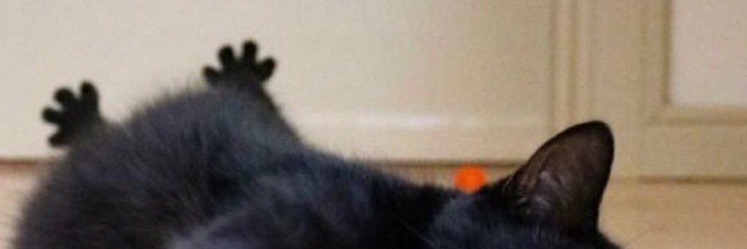 aminna_sa's profile banner image