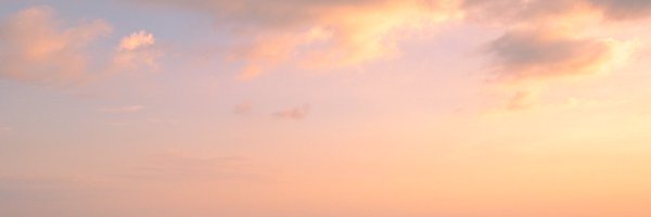 allweknowiscj Profile Banner