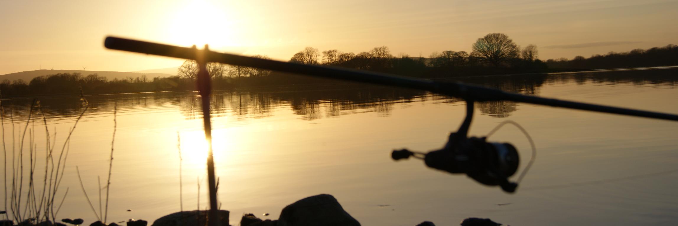 mickreid's profile banner image